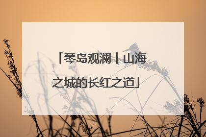 琴岛观澜丨山海之城的长红之道