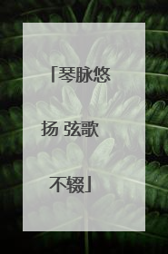 琴脉悠扬 弦歌不辍
