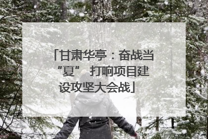 甘肃华亭：奋战当“夏” 打响项目建设攻坚大会战