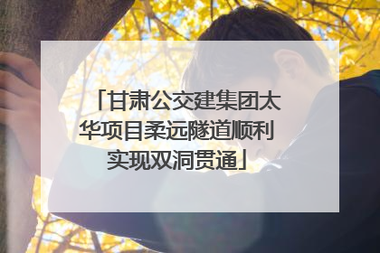 甘肃公交建集团太华项目柔远隧道顺利实现双洞贯通