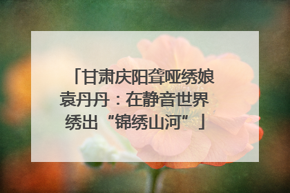 甘肃庆阳聋哑绣娘袁丹丹：在静音世界绣出“锦绣山河”