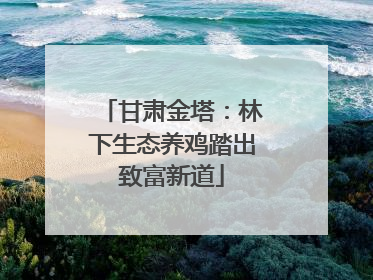 甘肃金塔：林下生态养鸡踏出致富新道