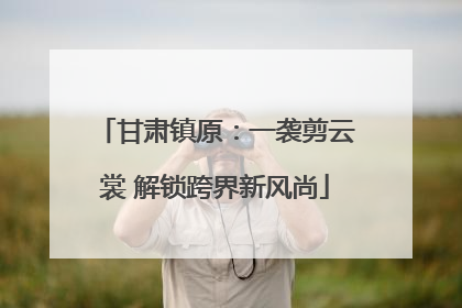 甘肃镇原：一袭剪云裳 解锁跨界新风尚