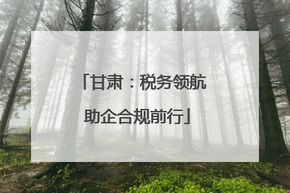 甘肃：税务领航 助企合规前行