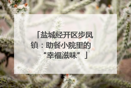 盐城经开区步凤镇：助餐小院里的“幸福滋味”