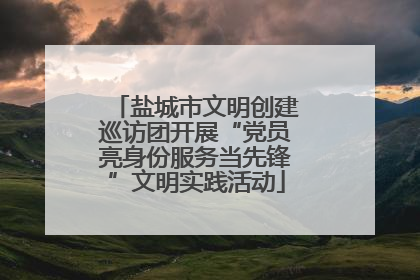 盐城市文明创建巡访团开展“党员亮身份服务当先锋”文明实践活动