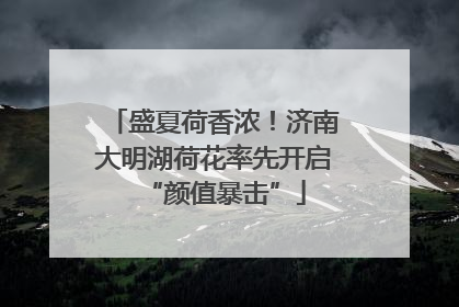 盛夏荷香浓！济南大明湖荷花率先开启“颜值暴击”