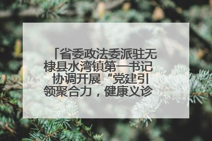 省委政法委派驻无棣县水湾镇第一书记 协调开展“党建引领聚合力，健康义诊惠乡亲”义诊活动
