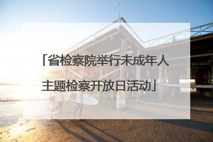 省检察院举行未成年人主题检察开放日活动