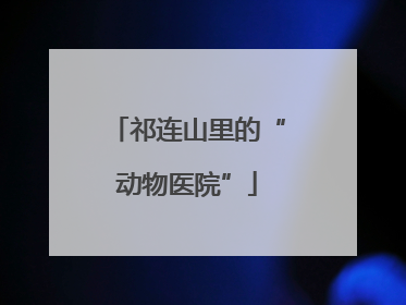 祁连山里的“动物医院”