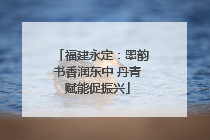 福建永定：墨韵书香润东中 丹青赋能促振兴