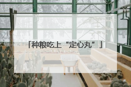 种粮吃上“定心丸”