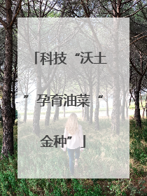 科技“沃土”孕育油菜“金种”