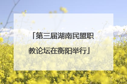 第三届湖南民盟职教论坛在衡阳举行