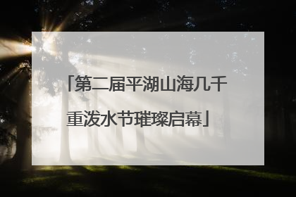 第二届平湖山海几千重泼水节璀璨启幕