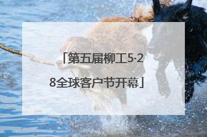第五届柳工5·28全球客户节开幕