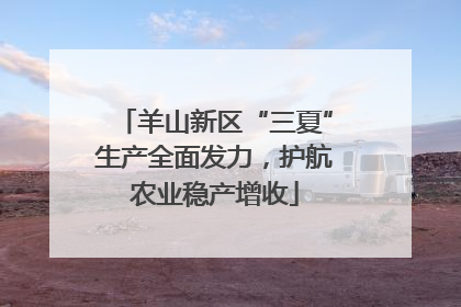 羊山新区“三夏”生产全面发力，护航农业稳产增收