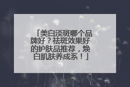 美白淡斑哪个品牌好？祛斑效果好的护肤品推荐，焕白肌肤养成系！