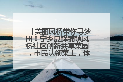 美丽凤桥带你寻梦田！宁乡夏铎铺镇凤桥社区创新共享菜园，市民认领菜土，体验耕种收获乐趣