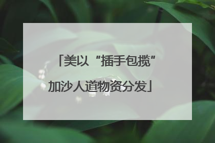 美以“插手包揽”加沙人道物资分发