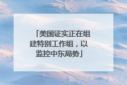 美国证实正在组建特别工作组，以监控中东局势