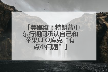 美媒爆：特朗普中东行期间承认自己和苹果CEO库克“有点小问题”