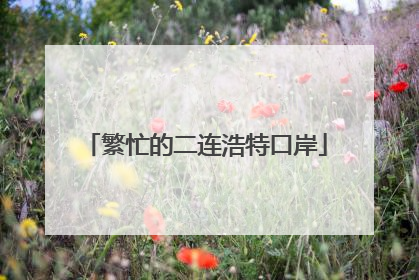 繁忙的二连浩特口岸