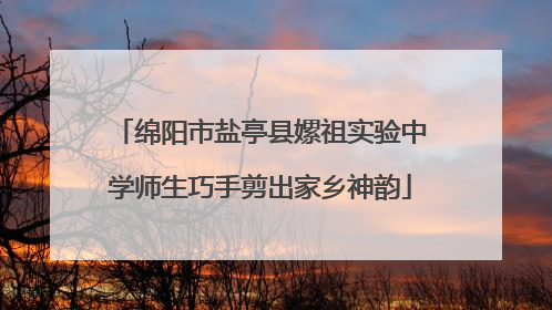 绵阳市盐亭县嫘祖实验中学师生巧手剪出家乡神韵