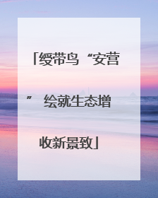 绶带鸟“安营” 绘就生态增收新景致