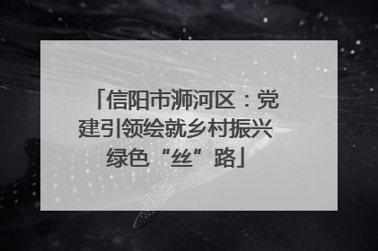 信阳市浉河区：党建引领绘就乡村振兴绿色“丝”路