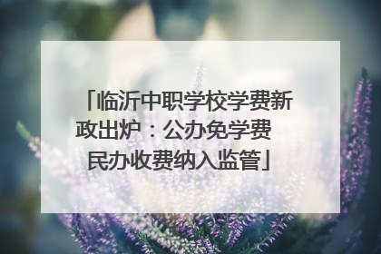 临沂中职学校学费新政出炉：公办免学费 民办收费纳入监管