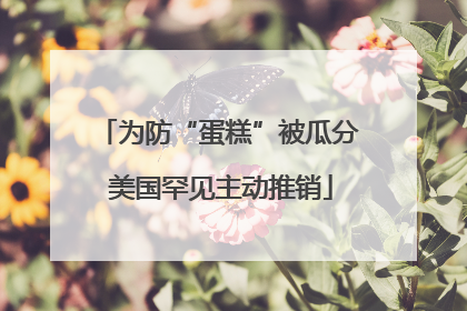 为防“蛋糕”被瓜分 美国罕见主动推销