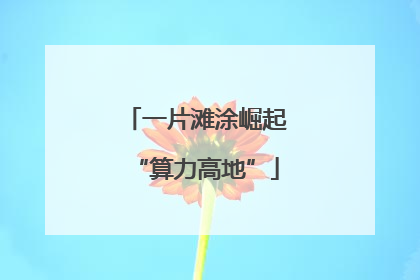 一片滩涂崛起“算力高地”