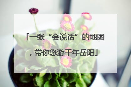 一张“会说话”的地图，带你悠游千年岳阳