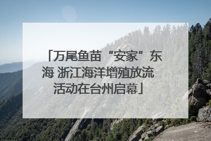 万尾鱼苗“安家”东海 浙江海洋增殖放流活动在台州启幕
