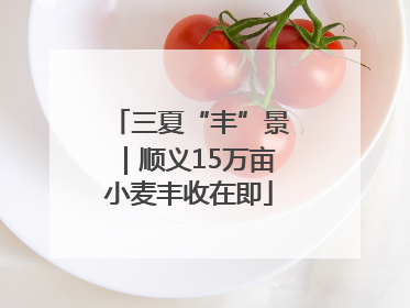 三夏“丰”景｜顺义15万亩小麦丰收在即