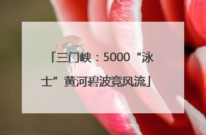 三门峡：5000“泳士”黄河碧波竞风流