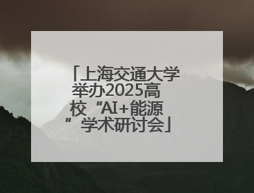 上海交通大学举办2025高校“AI+能源”学术研讨会