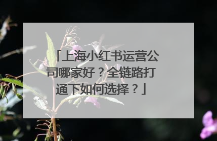 上海小红书运营公司哪家好？全链路打通下如何选择？