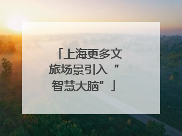 上海更多文旅场景引入“智慧大脑”