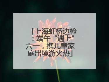上海虹桥边检：端午“遇上”六一，携儿童家庭出境游火热