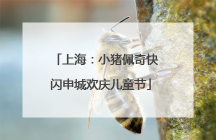 上海：小猪佩奇快闪申城欢庆儿童节