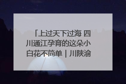 上过天下过海 四川通江孕育的这朵小白花不简单｜川陕渝网络名人巴中行