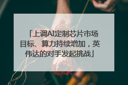 上调AI定制芯片市场目标、算力持续增加，英伟达的对手发起挑战