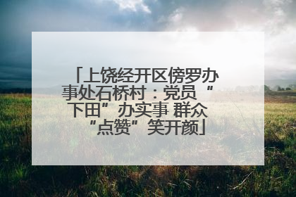 上饶经开区傍罗办事处石桥村：党员“下田”办实事 群众“点赞”笑开颜