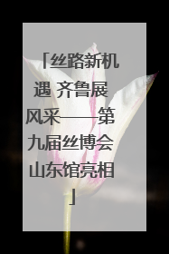 丝路新机遇 齐鲁展风采——第九届丝博会山东馆亮相