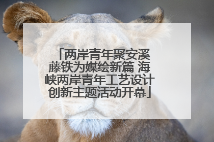 两岸青年聚安溪 藤铁为媒绘新篇 海峡两岸青年工艺设计创新主题活动开幕