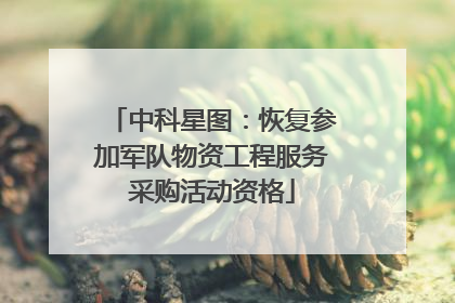 中科星图：恢复参加军队物资工程服务采购活动资格