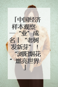 中国经济样本观察·一“业”成名丨“老树发新芽”！“浏阳烟花”燃亮世界