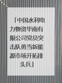 中国水利电力物资华南有限公司党员突击队勇当新能源市场开拓排头兵
